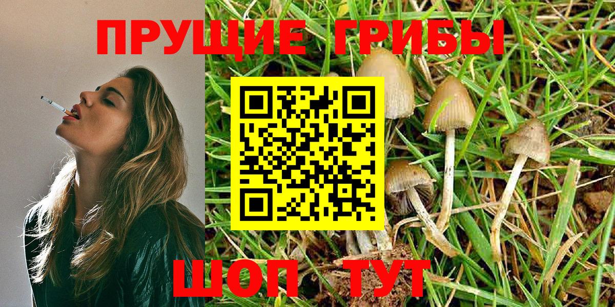Лянтор  хочу наркоту  Вход с VPN  Галлюциногенные грибы Magic Shrooms 